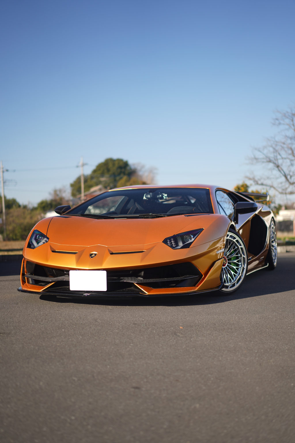 BondBody AK Forged ローダウン カスタム Lamborghini Aventador SVJ
ランボルギーニ アヴェンタドール
