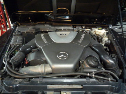 P1370532.JPG
