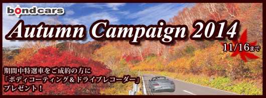 banner.jpg