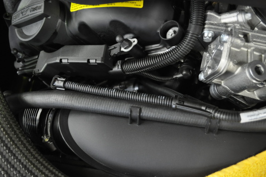 DSC_0872.JPG