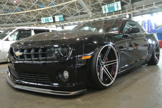 DSC_6492.JPG