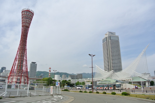 DSC_6678.JPG