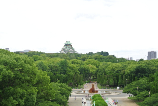 DSC_6962.JPG