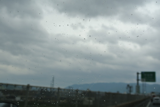 DSC_6967.JPG