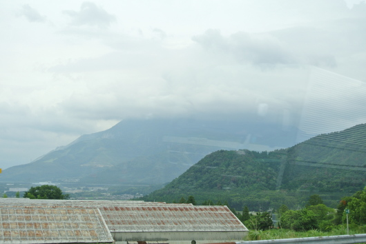 DSC_6976.JPG