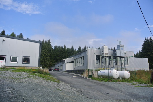 196.JPG