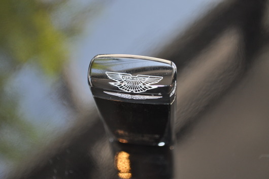DSC_0395.JPG