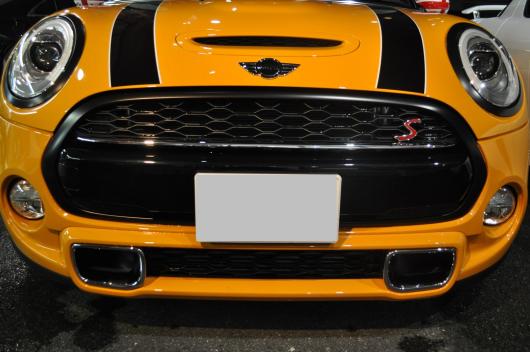 DSC_0903.JPG