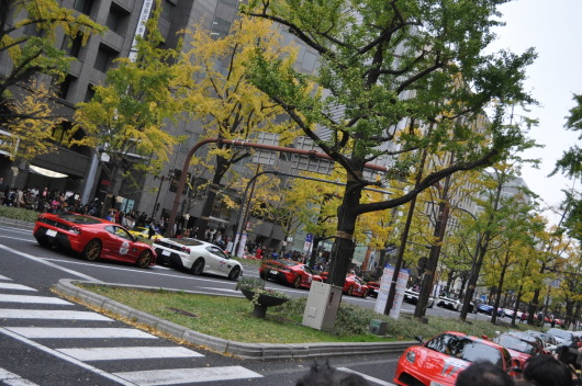 DSC_0026.JPG