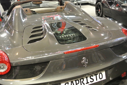 DSC_9503.JPG