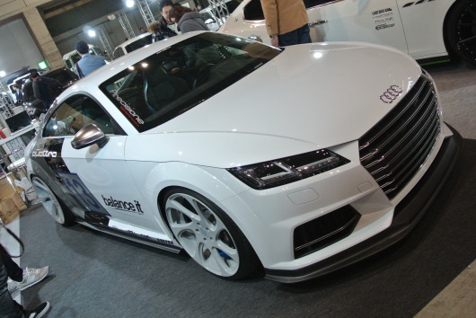 DSC_0486.JPG
