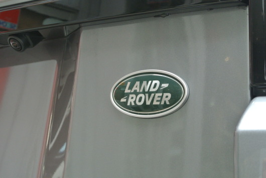 DSC_0721.JPG