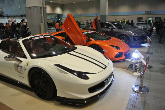 DSC_0805.JPG