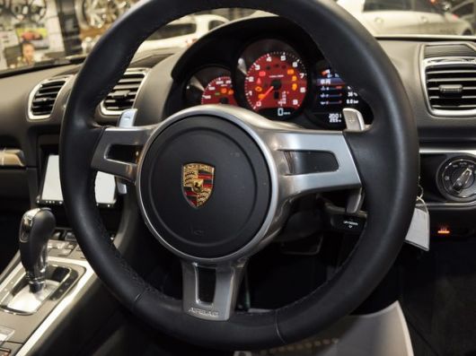 DSC_0130.JPG