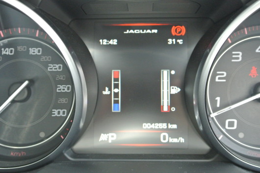 DSC_2861.JPG