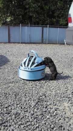 2010072008180000.jpg