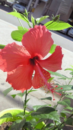 2010091010160001.jpg 2010091010160001.jpg