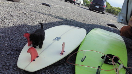 2010072008200002.jpg