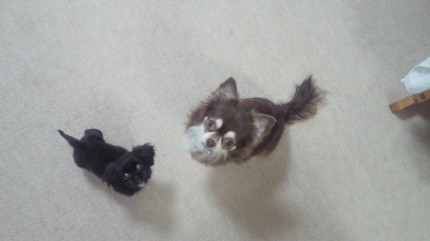 2010080621000000.jpg