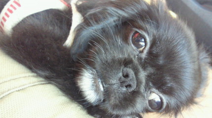 2010083115440000.jpg