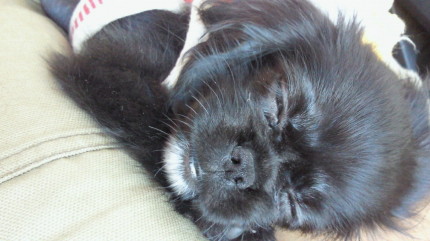 2010083115450000.jpg