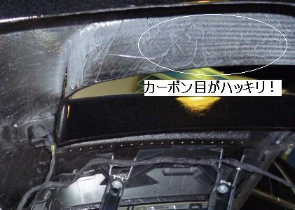 P1060102.JPG