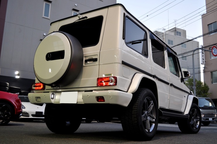 Z221.JPG