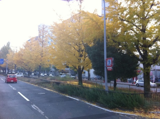 IMG_5765.jpg