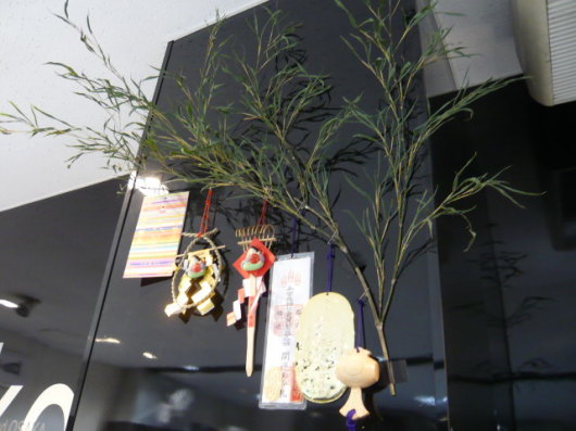 P1150720.JPG