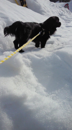 2011022011000000.jpg 2011022011000000.jpg
