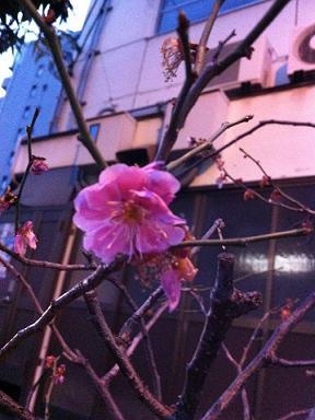 IMG_6747.jpg IMG_6747.jpg
