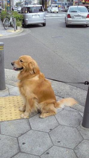 2011051614250000.jpg 2011051614250000.jpg