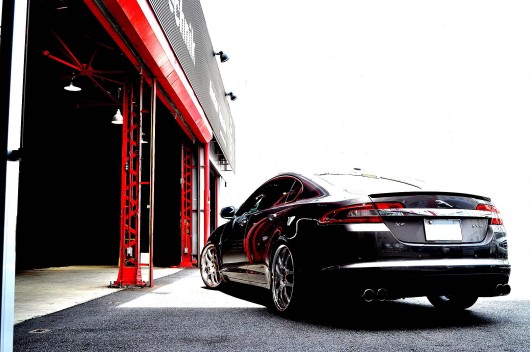 ｘｆ