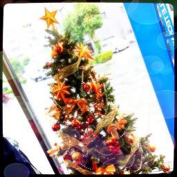 IMG_7341.jpg IMG_7341.jpg
