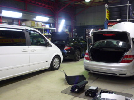P1310559.JPG