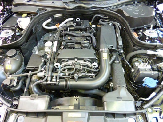 AP1040206.JPG