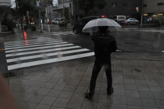 DSC_0986.JPG