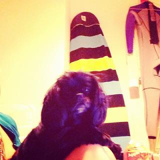 IMG_3955.jpg IMG_3955.jpg