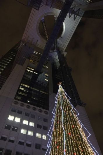 DSCF0325.JPG