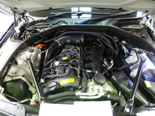 P1020455.JPG