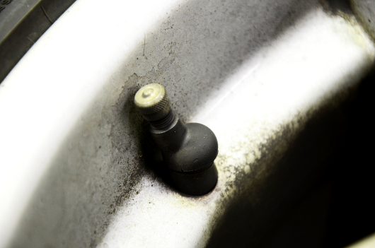 DSC_9925.JPG