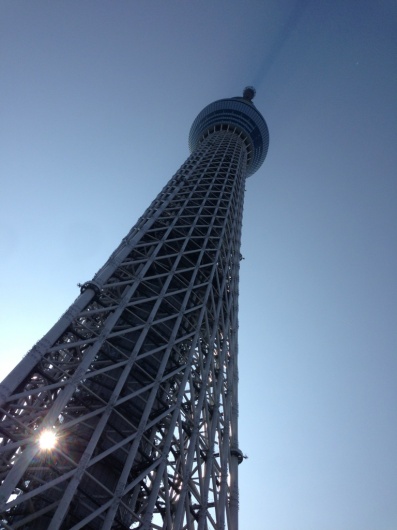 ｽｶｲﾂﾘｰ