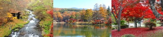 蓼科紅葉.jpg 蓼科紅葉.jpg
