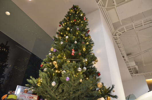 クリスマスマス