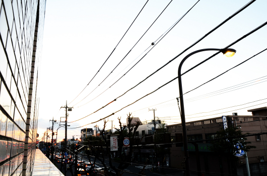 DSC_5006.JPG