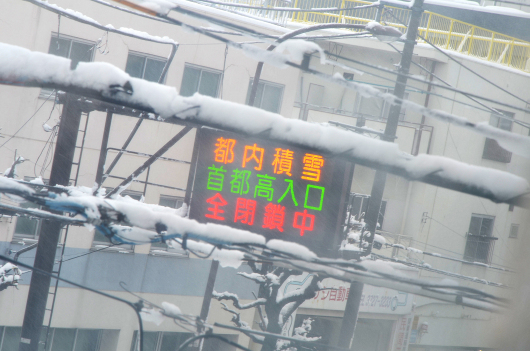 DSC_5651.JPG