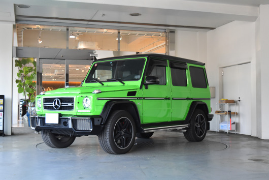 G63 ｴｲﾘｱﾝｸﾞﾘｰﾝ
