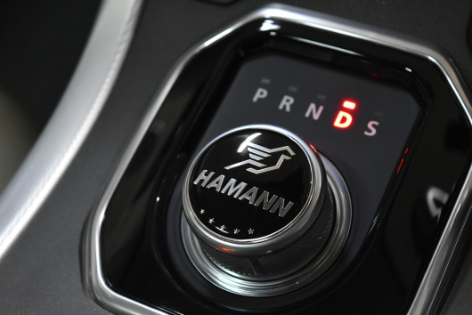 HAMANN
