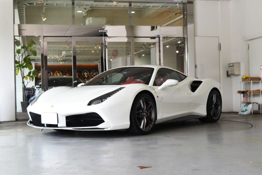 488 ﾛｰﾀﾞｳﾝ　ﾎｲｰﾙ　ｶｽﾀﾑ　ﾏﾌﾗｰ