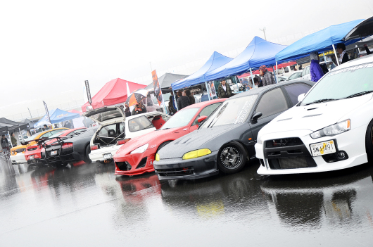 DSC_8486.JPG